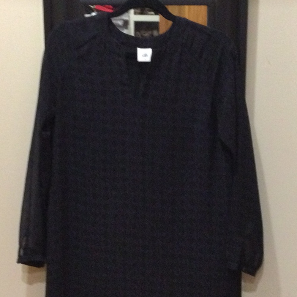 Cabi shirt dress